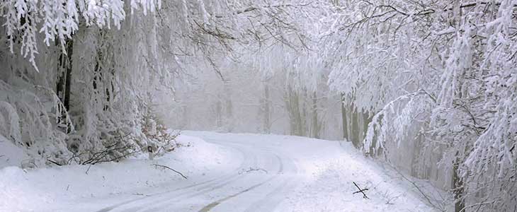 730x300 - Schneelandschaft