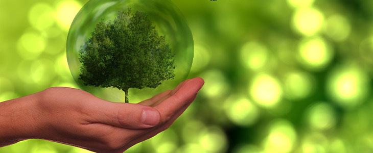 730x300 Nachhaltigkeit