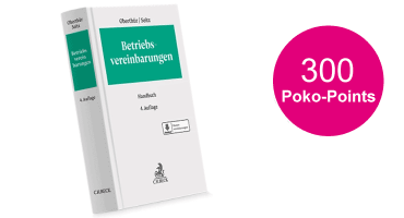 points-betriebsvereinbarungen-mit-Stoerer-nicht-Lieferbar.jpg
