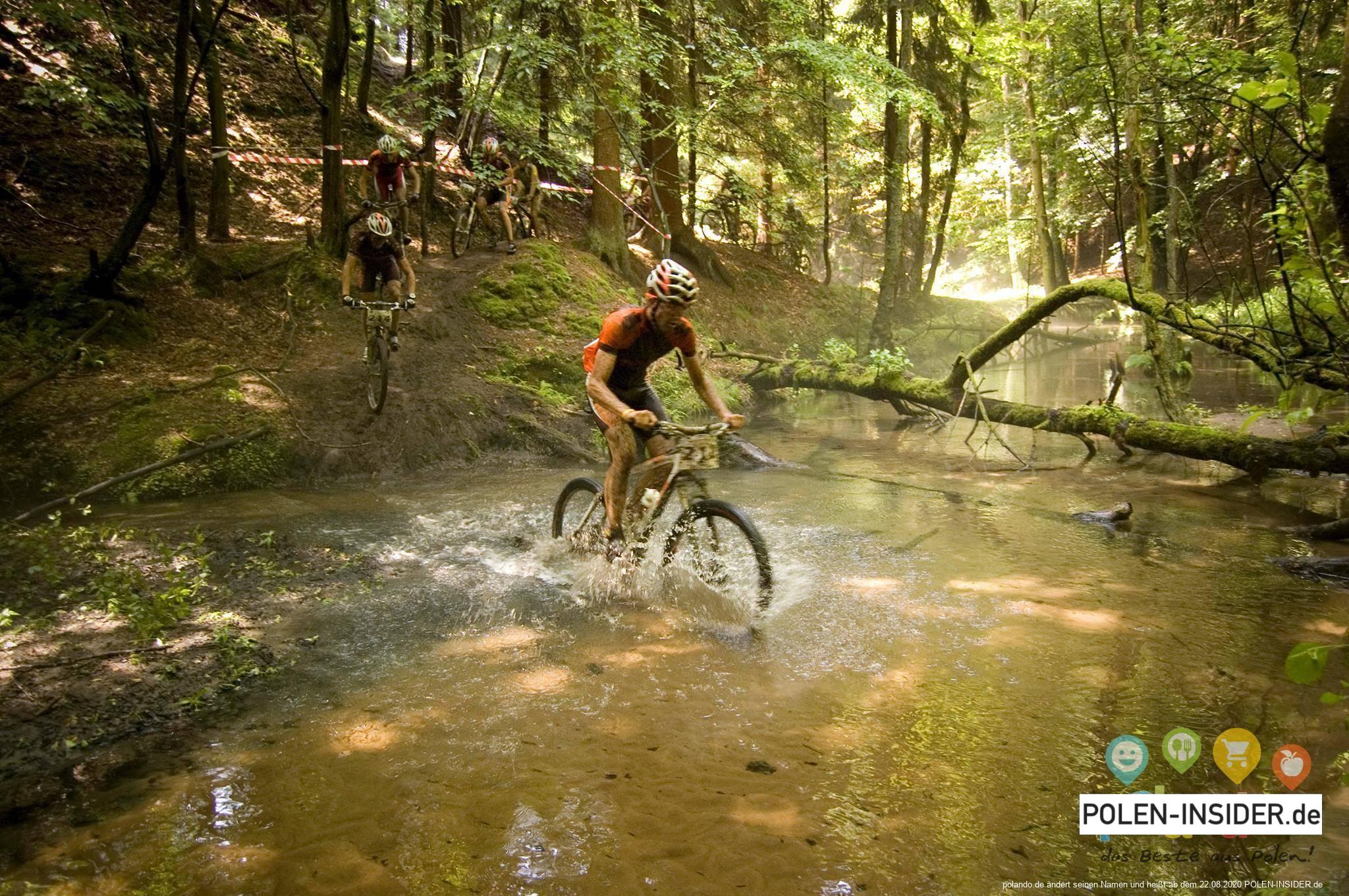 Verus AOK Marathon MTB Słubice 2017
