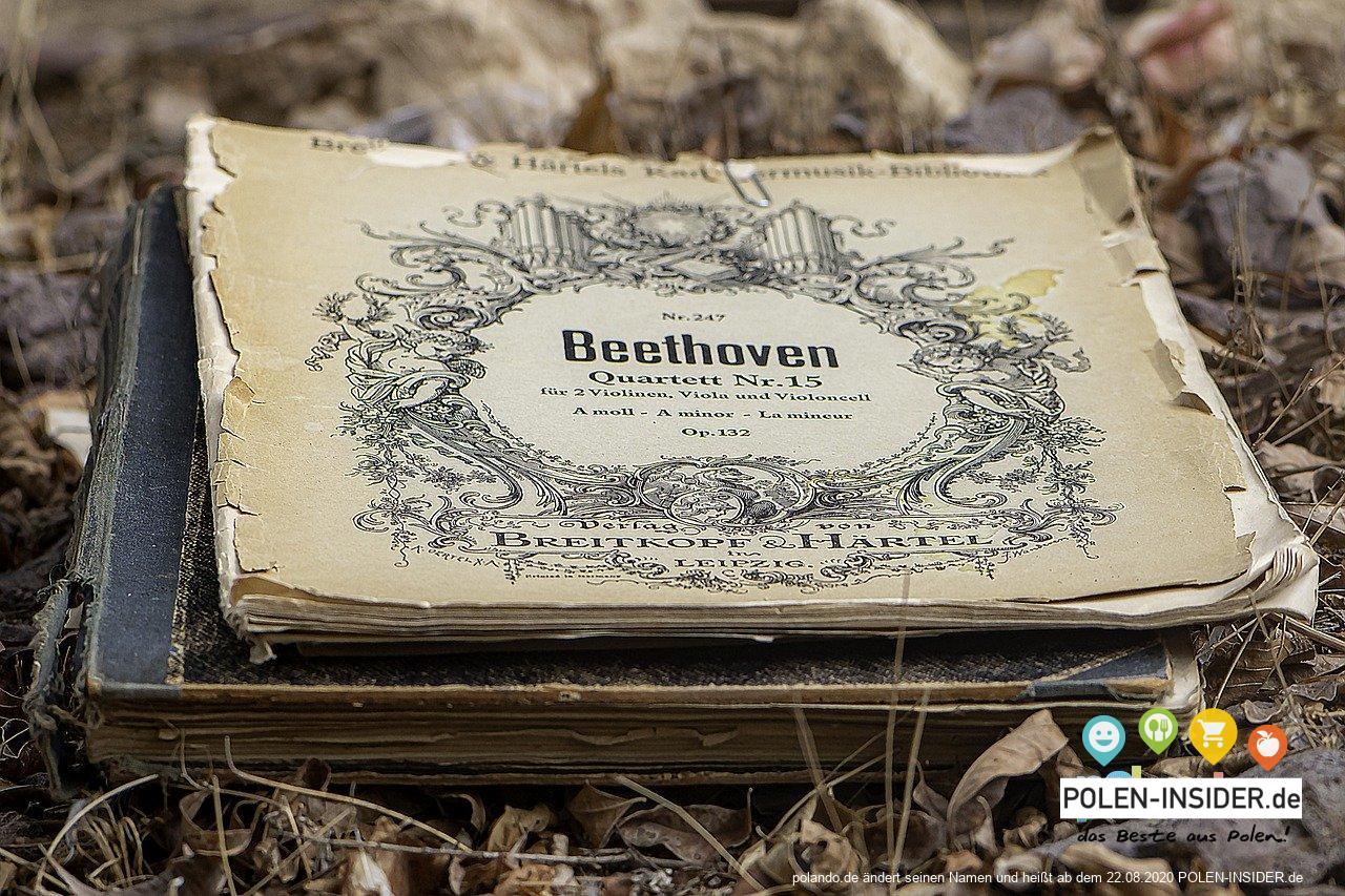 Polen feiert Beethovens 250. Geburtstag