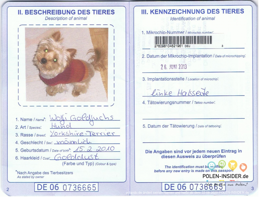 Ratgeber: mit dem Hund nach Polen