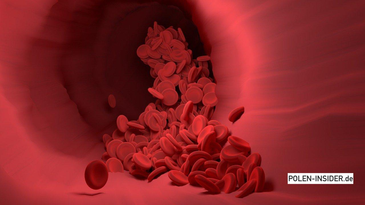 Polnisches Medikament gegen Coronavirus