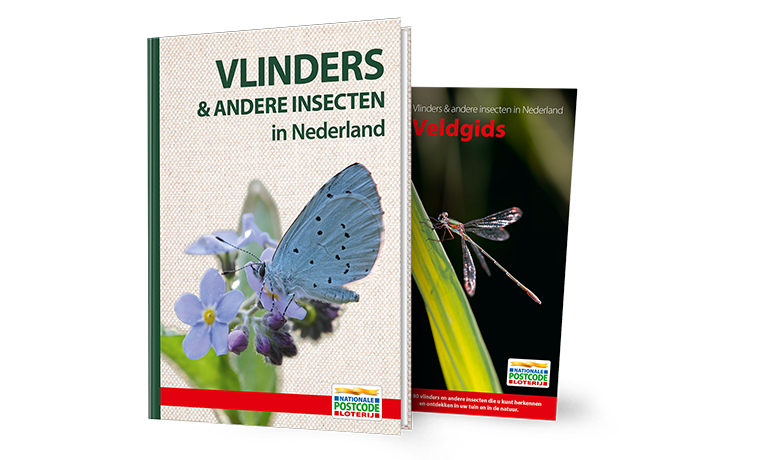 PbPqMi777LWHqCQWf-dLW6upeRNsFivheH8