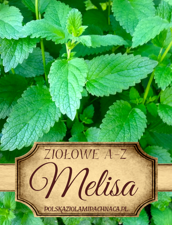 Melisa