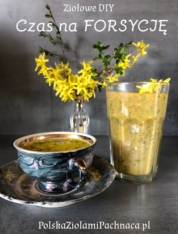 Ziołowe DIY: Czas na Forsycję