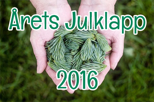 Årets Julklapp 2016: Ekologiska julklappar