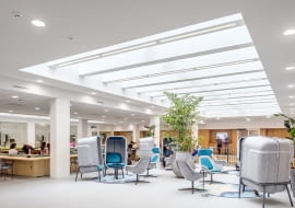 NL Faculty of Law, University of Groningen