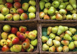 Do dłużeszego przechowywania wybieramy tylko owoce bez uszkodzeń i bez objawów chorób