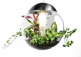 Wybierając lampę nad stół, nie kierujmy się wyłącznie jej urodą. Powinna oczywiście harmonizować ze stylem wnętrza, ale równie ważne jest dopasowanie jej wielkości do wymiarów mebla oraz zawieszenie na takiej wysokości, by nie raziła nas w oczy. <BR /> LAMPY. Babylone, z minikwietnikiem, tworzywo sztuczne, śr. 50 cm, 3200 zł, Kody Wnętrza