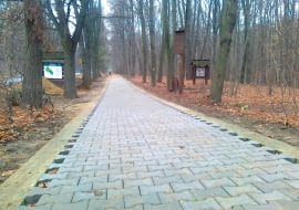 Kostka Bauma w Lesie Bielańskim