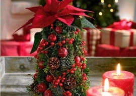 ONE TIME USE ONLY DO JEDNOKROTNEJ PUBLIKACJI SWIETA BOZE NARODZENIE WYKONANIE DEKORACJI SWIATECZNEJ CHOINKI - Z MUCHU , GALAZEK SWIERKA KLUJACEGO , RAJSKICH JABUSZEK , OWOCOW IRGI I POINSECJI FOT. STARS FOR EUROPE PUBLIKACJA KWIETNIK NR 12 (168) - 12 2008 PUBLIKACJA CZTERY KATY NR 12 (254) - 12 2012 SLOWA KLUCZOWE: BOZE NARODZENIE SWIETA ROSLINY ZDJĘCIE DO WKŁADKI: PUBLIKACJA KWIETNIK NR 12 (168) - CZASOPISMA