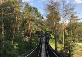 Park Dolina Wkry. Spacer w drzewach