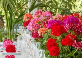 Dekoracja stołu pelargoniami