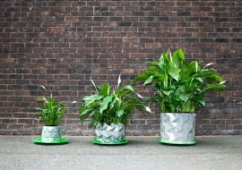 Niezwykłe doniczki na kwiaty domowe