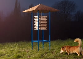 Wildhomes for Wildlife.