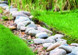 w zagłębieniu terenu położono czarną agrowłókninę i usypano na niej kamienie. Taką 'rynną' nadmiar wody spływa z trawnika.