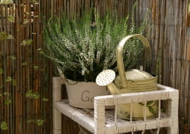 Mały balkon. Wrzosy na balkonie