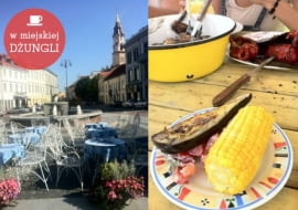 Litwa, W miejskiej dżungli, ciekawe wnętrza na Litwie