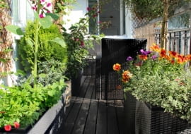 Rośliny balkonowe, czyli twój mały ogród