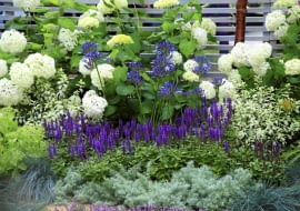 10.07.2008 LONDYN HAMPTON COURD PALACE WYSTAWA KWIATOW I OGRODOW FLOWER SHOW 2008 FOT. ARKADIUSZ SCICHOCKI / AGENCJA GAZETA