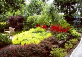 Nasyp ziemny obsadzony drzewami i krzewami. Jest tu kolorowo, zacisznie i zupełnie nie widać wjazdu na posesję, który znajduje się za zieloną zasłoną.