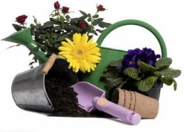 Konkurs "Zrób to sam w ogrodzie"