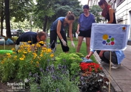 Działania pracowni Kwiatkibratki