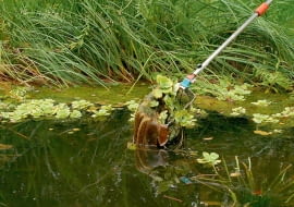 @08.10.03 WARSZAWA WODA OCZKO WODNE STAW PRZYGOTOWANIE DO ZIMY PIELEGNACJA USUWANIE ROSLIN KTORE NIE WYTRZYMUJA ZIMY CZYSZCZENIE JESIENFOT. PAWEL SLOMCZYNSKI AGENCJA GAZETAPUBLIKACJA KWIETNIK NR 10 (118) - 10.2004PUBLIKACJA LADNY DOM NUMER SPECJALNY - OGROD 1/2011 - 4 2011PUBLIKACJA LADNY DOM NR 11 (204) - 11 2015