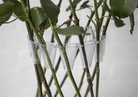 układanie kwiatów, kwiaty w domu, jak układać kwiaty