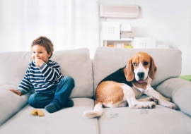 Jeśli sofa ma służyć takim aktywnym domownikom, warto wybrać jak najodporniejszą tkaninę.