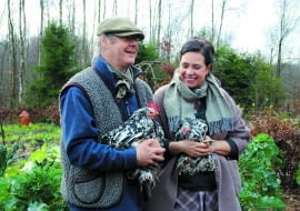 Cenimy nasze kury nie tylko za jajka. Dla ogrodnika pożyteczna jest też ich ściółka. To ogromnie wartościowy dodatek do kompostu.