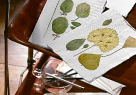 ZIELNIKOWE KARTKI , SUSZONE LISCIE ARANZACJA WYKONANIE ELZBIETA MATUSZEWSKA FOT. RAFAL LIPSKI PUBLIKACJA CZTERY KATY NR 7 (142) - 7.2003 SLOWA KLUCZOWE: PLASTYKA ROSLINY STOCKOWE ZDJĘCIE DO WKŁADKI: PUBLIKACJA CZTERY KATY NR 7 (142) - CZASOPISMA