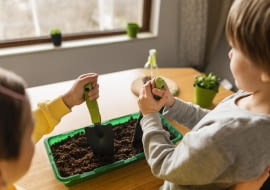 Jesienno-zimowe uprawy w domu – jak wspólne sianie warzyw może budować zdrowe nawyki u dzieci?