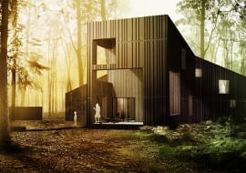 Dom gałązka. Wizualizacja.