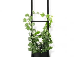 1.wisząca donica, poliester, śr. 20 cm, 320 zł, czerwonamaszyna.pl