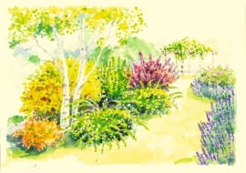 Rabata z krzewami liściastymi