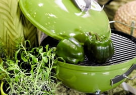 31.03.2011 , KOLOR I WZOR , TEMAT ZIOLA , STYLIZACJA JOANNA PLACHECKA . FOT. MICHAL MUTOR / AGENCJA GAZETA