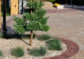 Kostka Malta kawowe inspiracje