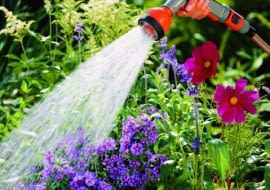 Nie ma to jak chłodny, życiodajny prysznic po suchym, upalnym dniu. Może to nam zapewnić pomocna dłoń sąsiada, firma ogrodnicza lub wielofunkcyjny sterownik do nawadniania ogrodu.