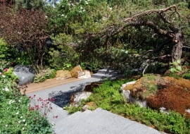 Fot. 1 Wystawa Chelsea Flower Show 2010