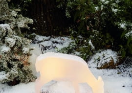 Jelonek solarny z 5 diodami LED, torzywo sztuczne, 57×55×15 cm, ok. 90 zł, Tchibo.