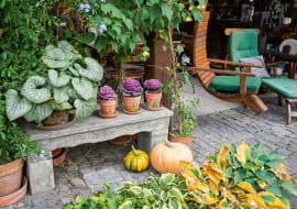 Taras zdobią rośliny w donicach (brunnery, ołowniki, zaślaz). Widzimy tu również zabytkową ławeczkę z piaskowca.