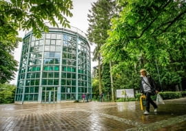 22.06.2014 Gdansk . Park Oliwski Palmiarnia . Fot. Dominik Sadowski / Agencja Gazeta