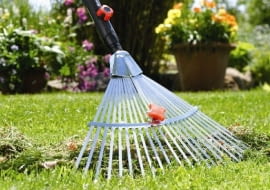 grabienie,grabie,trawnik,pielęgnacja ogrodu,ogród