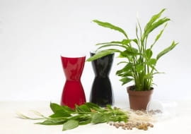 10.03.2008 WARSZAWA SESJA KWATY WE WNETRZU NZ ROSLINY KWIATY SKRZYDLOKWIAT UPRAWA HYDROPONICZNA STYLIZACJA ANETA KOSIBA DLA CZASOPISMA CZTERY KATY FOT. ARKADIUSZ SCICHOCKI / AGENCJA GAZETA PUBLIKACJA CZTERY KATY NR 5 (199) - 5 2008