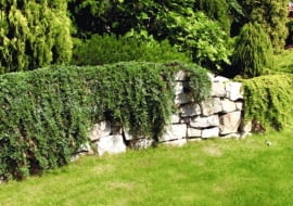 ONE TIME USE ONLY DO JEDNOKROTNEJ PUBLIKACJI