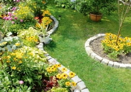 Od wiosny do jesieni działka cieszy oczy żywymi kolorami kwiatów.