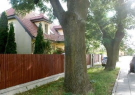 Dom (nie)bezpieczny - jak ocenić stopień zabezpieczenia własnego domu?