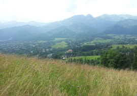 Tatrzańskie łąki i hale